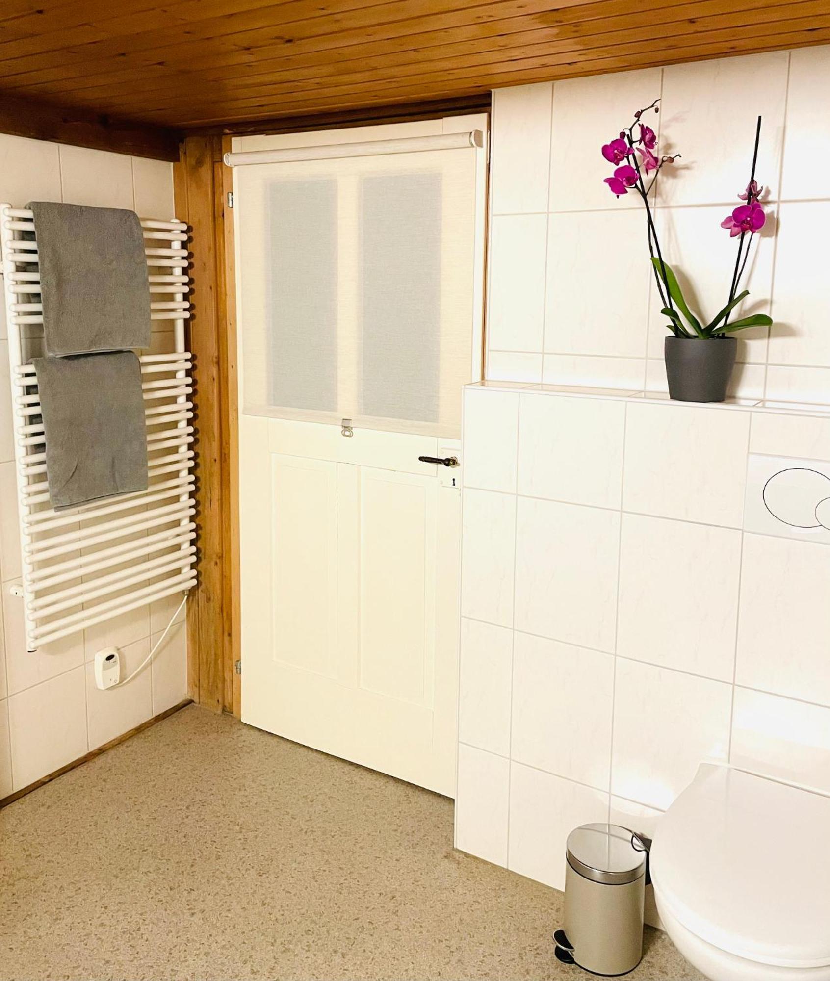 Lovely & Great Equipped Wooden Alp Chalet Flat Kandersteg Exteriör bild